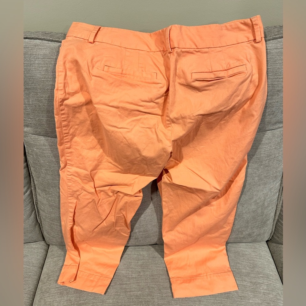 LOFT Capri Pants - Picture 3 of 3